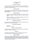 El nombre del producto: Speedy