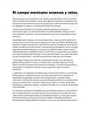 El campo mexicano avances y retos