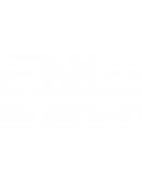 PRÁCTICA PEDAGÓGICA PROFESIONAL.