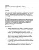 Reconocer y distinguir entre cambios físicos y químicos.