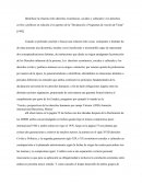 Relaciones sociales y culturales y los derechos civiles y políticos en relación a los aportes de la "Declaración y Programas de Acción de Viena"