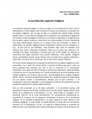 La Jurisdicción especial Indígena