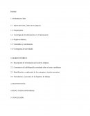 Memorias practicas máster