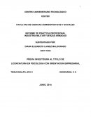 Las actividades realizadas en la Industria Militar Fuerzas Armadas en la Sección de Psicología