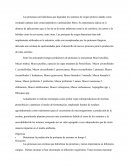 Proteasas en hongos