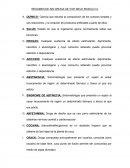 SIN DROGAS SE VIVE MEJOR