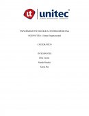 Cultura organizacional. Características primarias de la Cultura Organizacional