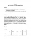 PRACTICA 4 CICLO DEL SULFATO DE COBRE PENTAHIDRATADO