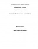 Desarrollo de los derechos economicos, sociales y culturales.
