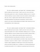 Historia sobre el maltrato animal