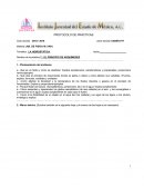 PROTOCOLO DE PRÁCTICAS DE FÍSICA