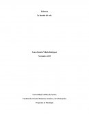 La función del velo