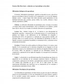 Dificultades biológicas del aprendizaje.