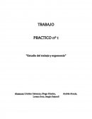 TRABAJO PRACTICO nº 1 “Estudio del trabajo y ergonomía”