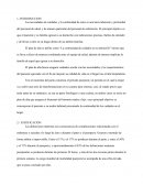 Plan de alta en el hospital