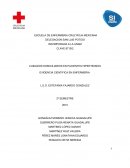 ¿Cuáles son las actividades de Enfermería para pacientes con hipertensión arterial en cuidado domiciliario?