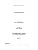 Ensayo la comunicación organizaciónal