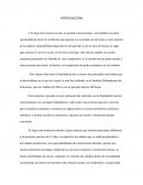 A lo largo de la carrera no solo se aprende conocimientos