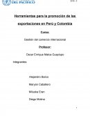 PROMOCION DE EXPOTACIONES PERUANAS.