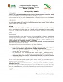 Rally del conocimiento