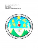 IMPORTANCIA GENERAL DE LA CIRCULARIZACION DE SALDOS