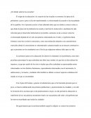 ¿De dónde salieron las escuelas? El origen de la educación y la creación de las escuelas