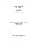 Trabajo Colaborativo Unidad 1. Costos y Presupuestos