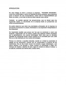 En este trabajo se dará a conocer la empresa “TEHUANA SHUNAXHI“