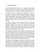 Teoria organizaciones