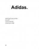 La empresa adidas es una de las mejores tiendas de deporte