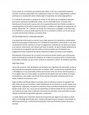 El ciclo celular es un fenómeno que presenta toda célula, en los seres multicelulares podemos encontrar la mitosis