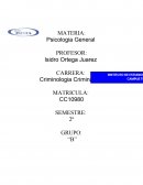 Introducción a la psicología y bases ambientales del comportamiento social.