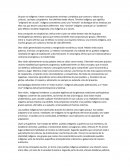 MUNICIPIO INDIGENA