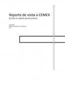 Reporte de visita a CEMEX