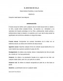 EL SEXO QUE SE CALLA