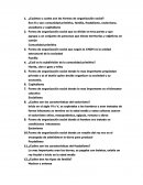 ¿Cuántas y cuales son las formas de organización social?