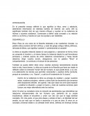 Etica, amor y sabiduria