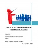 ENSAYO DE GERENCIA Y LIDERAZGO EN LOS SERVICIOS DE SALUD