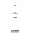 El Municipio de la Estrella Antioquia cuenta con unas excelentes tierras para el cultivo de plátano, ahuyama, maíz, arroz y yuca entre otros productos
