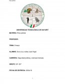 Seguridad pública y ciencias forenses