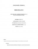INGENIERÍA TÉRMICA PRÁCTICA PvT