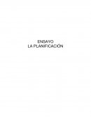 No importa lo buenos que seamos planeando, la presión nunca se va a ir. Así que no lucho contra ella. Me motivo con esta a hacerlo de la mejor forma posible.