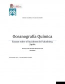 Ensayo sobre el Accidente de Fukushima, Japón