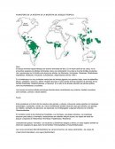 PLANISFERIO DE LA RESERVA DE LA BIOSFERA DEL BOSQUE TROPICAL