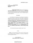 Formato para ofrecer pruebas en materia penal.