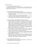 El mercado y el consumidor.