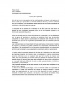 Sociología de las organizaciones La base de la pirámide