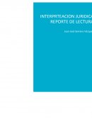 En la lectura podemos ver la importancia de dar argumentos lógicos jurídicos que pueden llegar a la conclusión de una correcta interpretación.