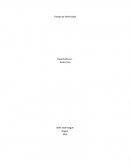 ¿Qué es el lenguaje no verbal?