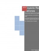 Las huellas digitales o huellas dactilares también llamadas